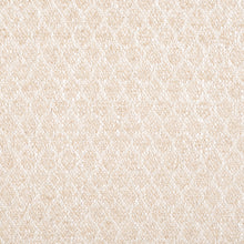 Load image into Gallery viewer, Voyager 21