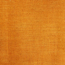 Load image into Gallery viewer, Acer 22 - Pumpkin