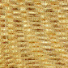 Load image into Gallery viewer, Acer 31* - Cashew