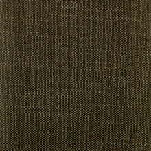 Load image into Gallery viewer, Acer 55 - Armadillo