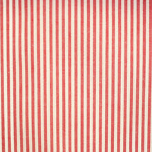 Load image into Gallery viewer, Piccoli Stripe 05