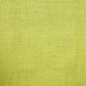 Acer 33 - Lime